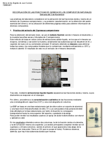 Practicas.pdf