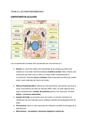 Biologia-Celular-Bloque-2-MUY-COMPLETO-Temas-8-12-.pdf