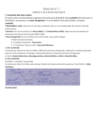 Biologia-acids-nucleics-i-MEMBRANES-CELLULARS-I-ORGANULS-NO-DELIMITATS-PER-MEMBRANES.pdf
