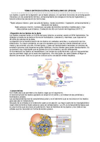 Metabolica-Temas-9-21.pdf