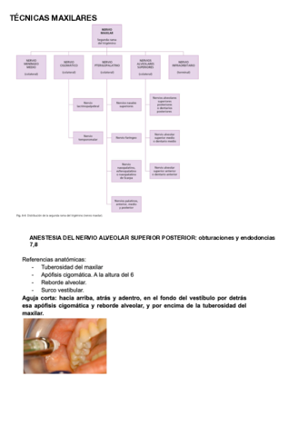 anestesia-mio-.pdf