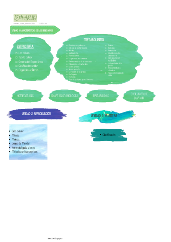 CARBOHIDRATOS-Y-LIPIDOS.pdf