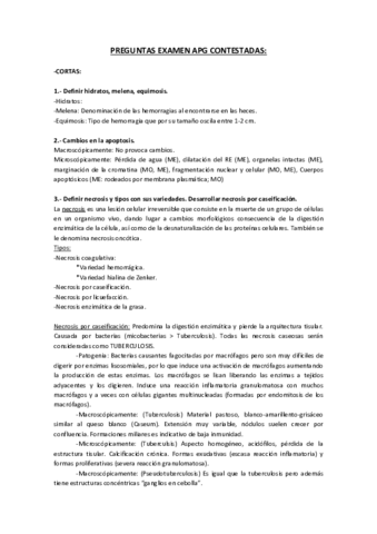 PREGUNTAS-CORTAS-EXAMEN-APG-CONTESTADAS.pdf