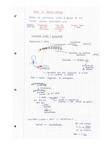 TEMA-CRISPR-CAS9.pdf