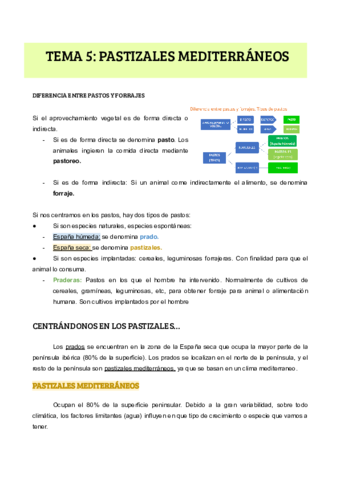 TEMA-5-PASTIZALES-MEDITERRANEOS.pdf