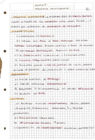 Tema-5-empresa-multinacional.pdf