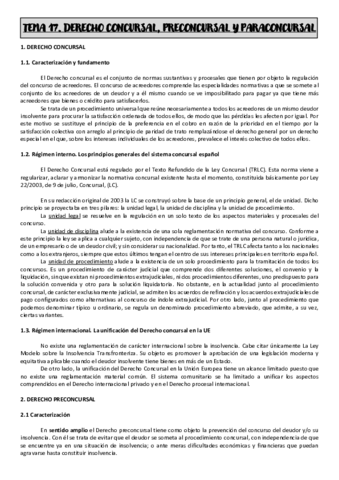 TEMA-17.pdf