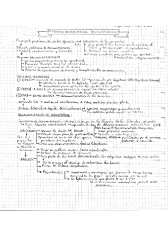 DESAMORTIZACIONES.pdf