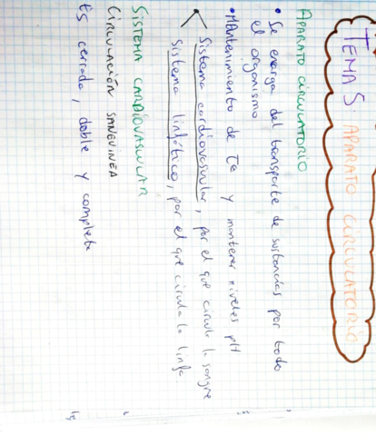 Aparato-circulatorio-.pdf