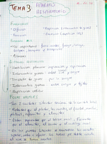 Aparato-Respiratorio-.pdf