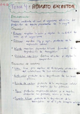 Aparato-excretor.pdf