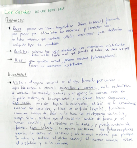 Relacion-en-animales.pdf