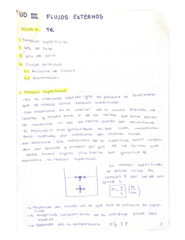 TEMA-6-FLUJOS-EXTERNOS.pdf
