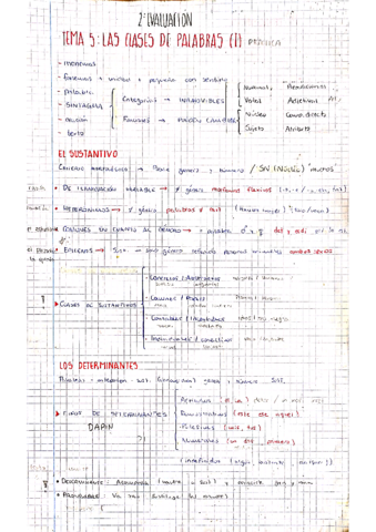 TEMAS-5-7-SINTAXIS.pdf