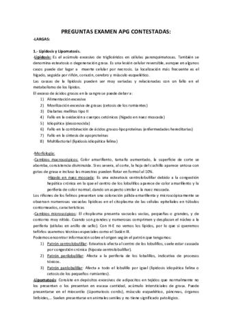 PREGUNTAS-LARGAS-EXAMEN-APG-CONTESTADA1.pdf
