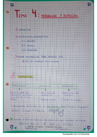 Tema-4-Metabolismo-y-Nutricion.pdf