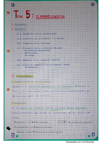 Tema-5-Aparato-Digestivo.pdf