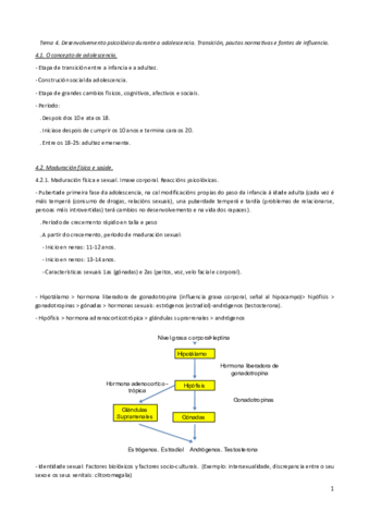 word-expositivas-psico-temas-4-a-6.pdf