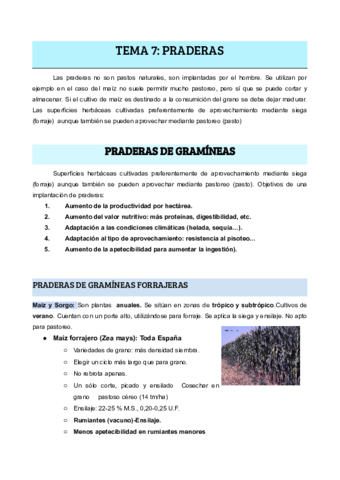 TEMA-7-PRADERAS.pdf
