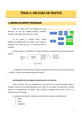 TEMA-6-MEJORA-DE-PASTOS.pdf