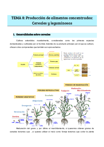 TEMA-8-Produccion-de-alimentos-concentrados-Cereales-y-leguminosas.pdf