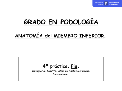 4a-PRACTICA.pdf