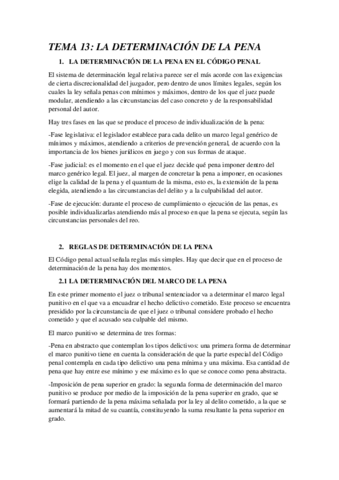TEMA-13-2.pdf