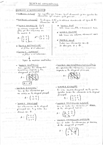 TEORIIA-DE-MATRICES-Y-BOLETIN-SELECTIVIDAD-.pdf