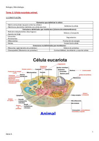 Tema-2.pdf