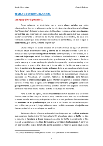 TEMA-11-AL-ANDALUS.pdf