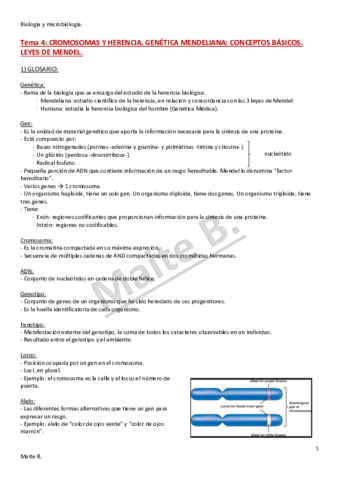 Tema-4.pdf