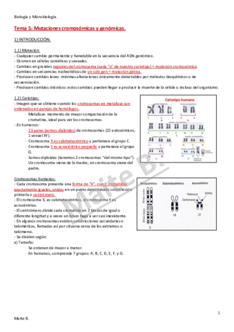 Tema-5.pdf