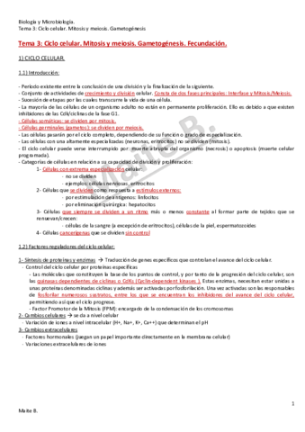 Tema-3.pdf