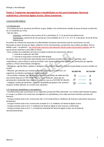 Tema-6.pdf