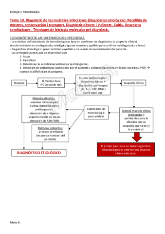 Tema-10.pdf