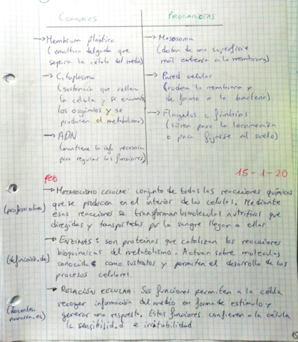 La-celula-.pdf