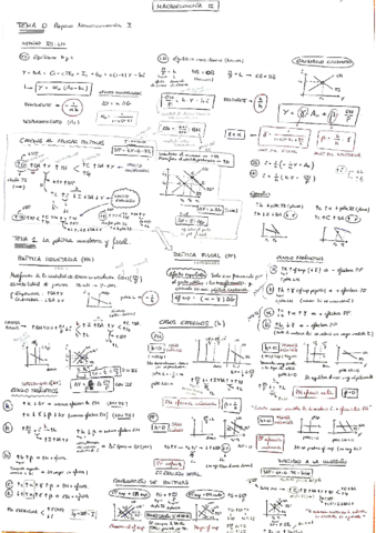 MACROIIPoliticasAbierta.pdf