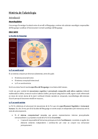 Linguistica-Io.pdf