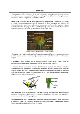 Teoria-de-mi-herbario.pdf