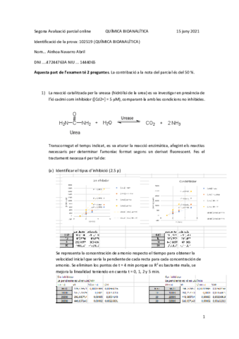AinhoaNavarroAbril-1444065P2.pdf