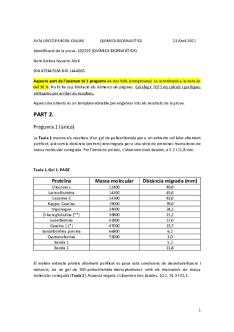 AinhoaNavarroAbril1444065P1.pdf