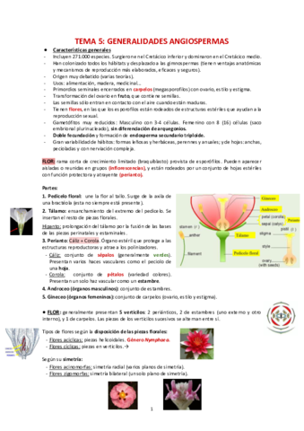 Apuntes-Botanica-II-parte-2.pdf