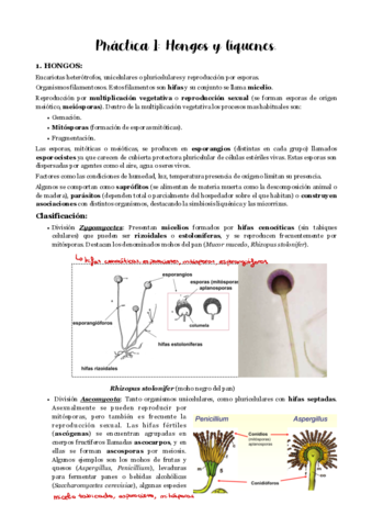 Practicas-1-y-2.pdf