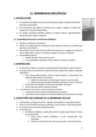 Bioquimica-Segundo-cuatrimestre.pdf