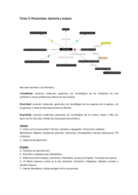 T3 botanica.pdf