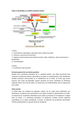 T4 botanica.pdf