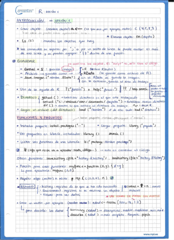 Apuntes-resumidos-R.pdf