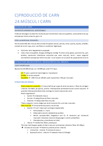 Resum-PPMA-bloc-C.pdf