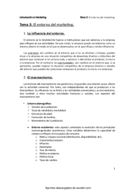 wuolah-free-Tema 3-El entorno del marketing.pdf