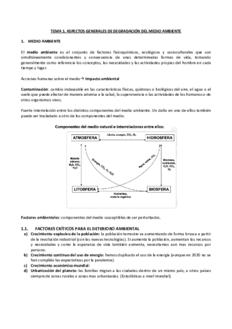 TEMA-1-ambiental.pdf